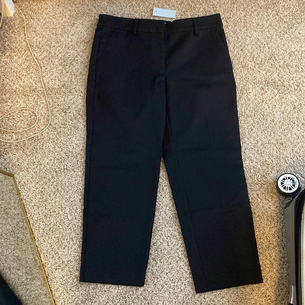 LOFT The Rivera Slim Pant 6P